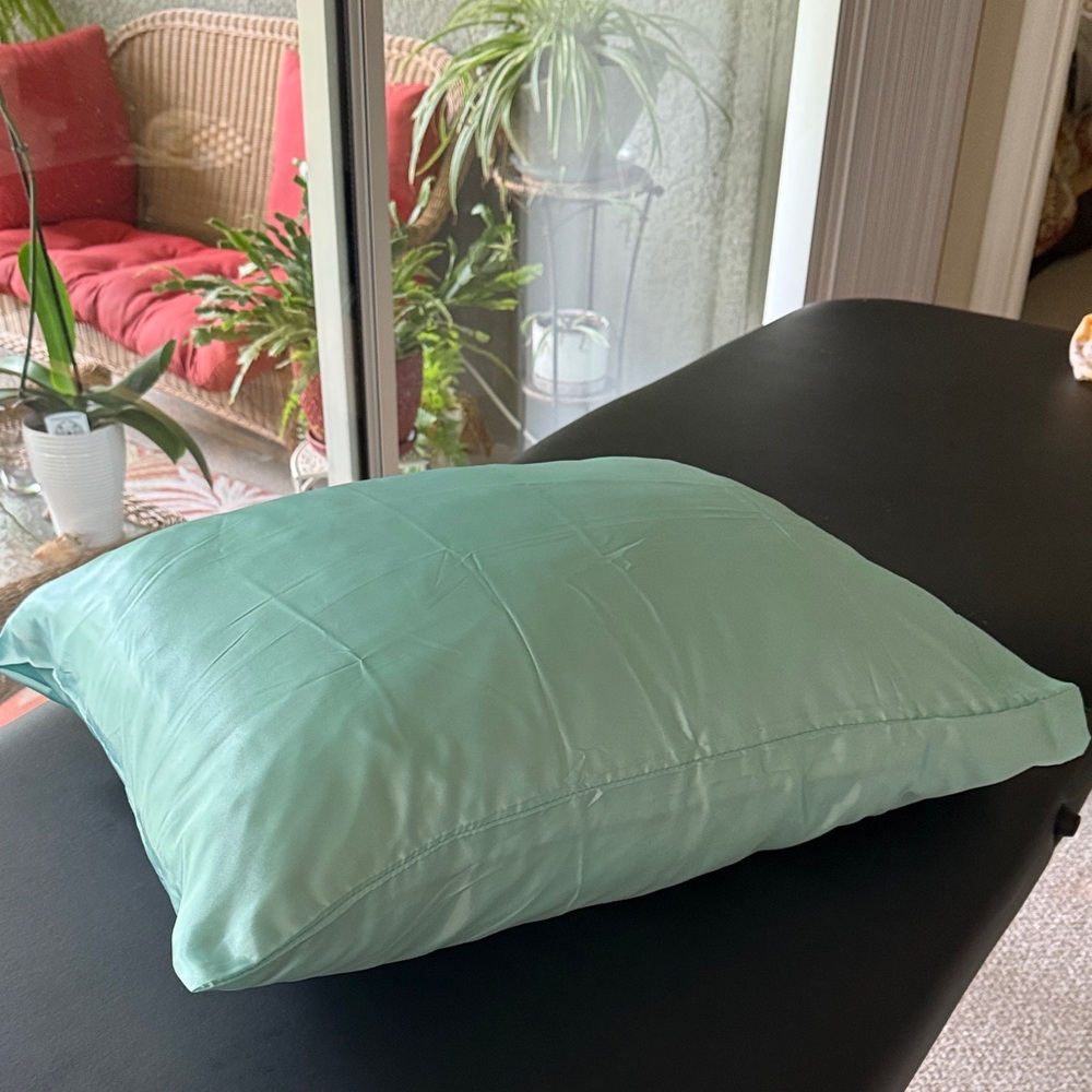 Mint Green 2 Set of Silky Pillowcases